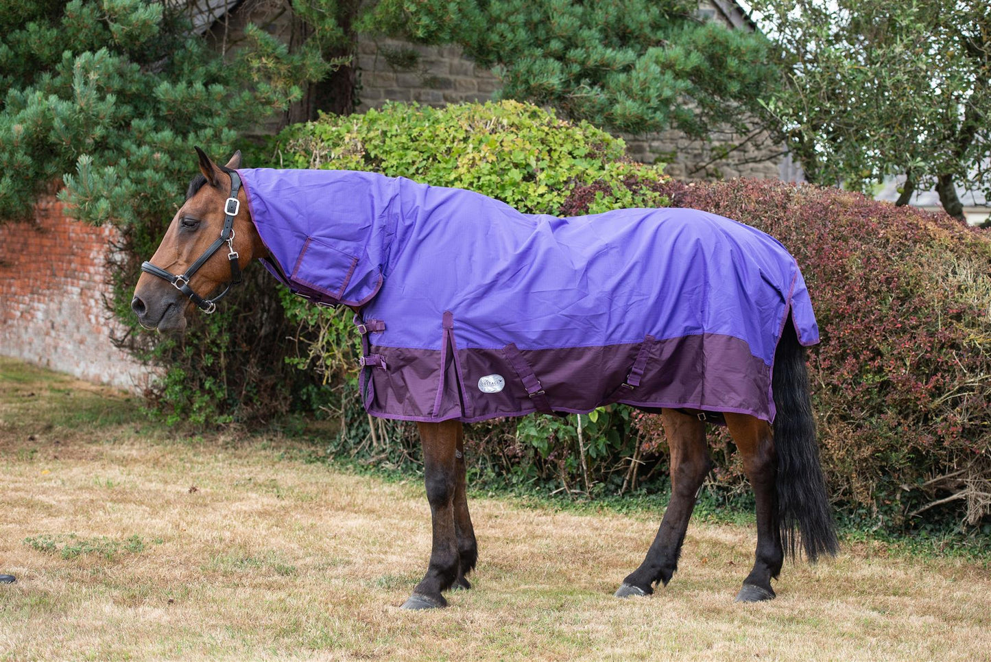 600D Mediumweight Waterproof Horse Turnout Rug 100g Fill Combo Full Neck Purple/Plum