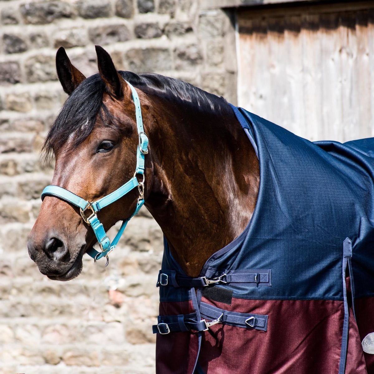 600D Lightweight Waterproof Horse Turnout Rug 0g No Fill Half Neck Navy/Maroon