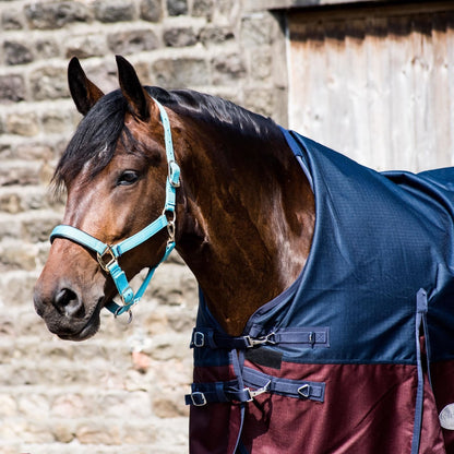 600D Lightweight Waterproof Horse Turnout Rug 0g No Fill Half Neck Navy/Maroon
