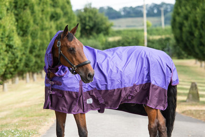 600D Mediumweight Waterproof Horse Turnout Rug 100g Fill Combo Full Neck Purple/Plum