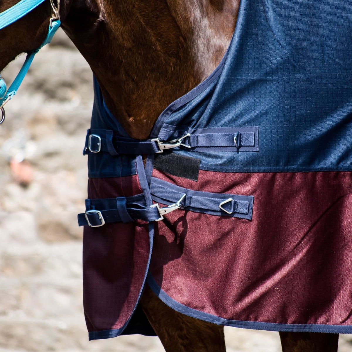 600D Lightweight Waterproof Horse Turnout Rug 0g No Fill Half Neck Navy/Maroon