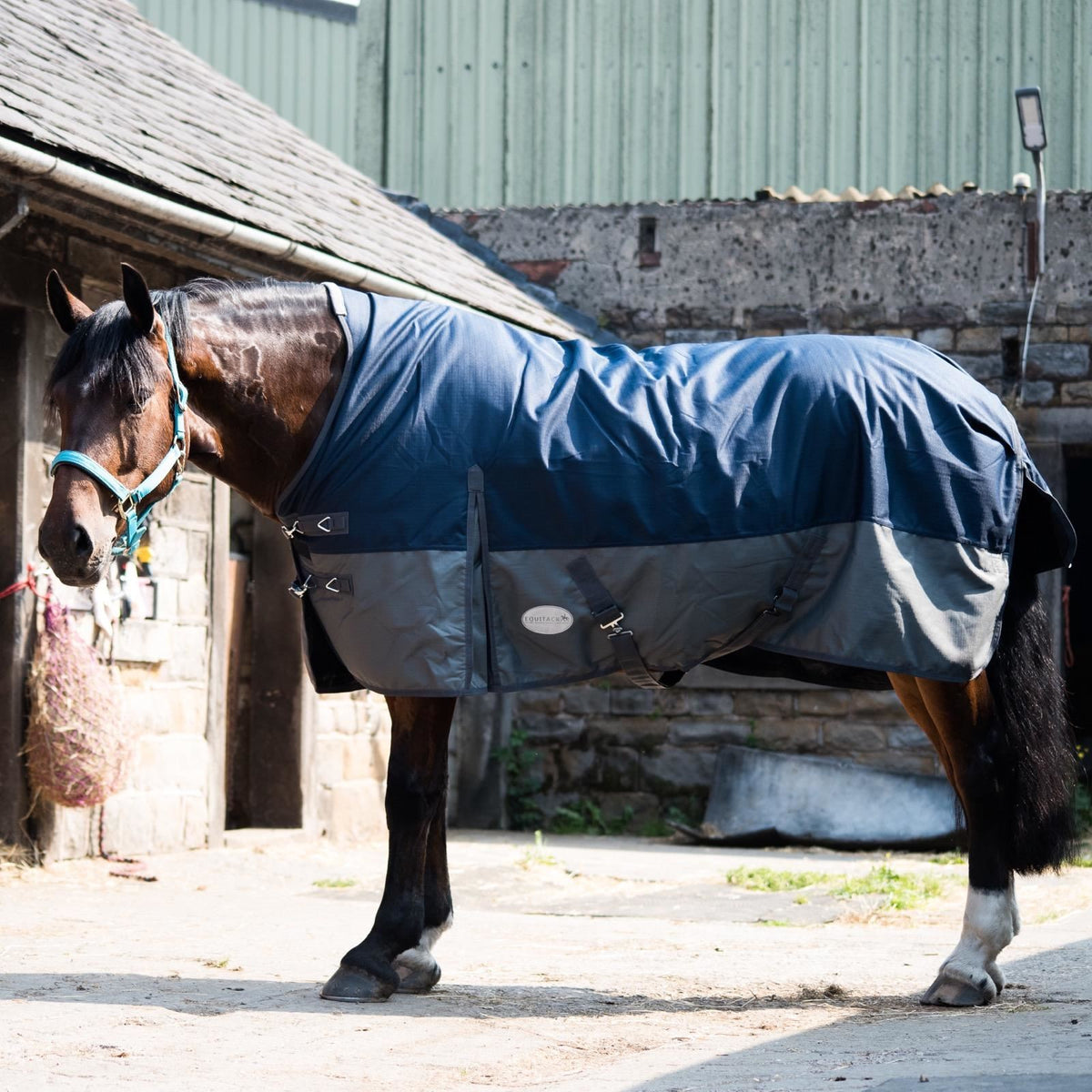1200D Mediumweight Waterproof Horse Turnout Rug 100g Fill Half Neck Navy/Grey
