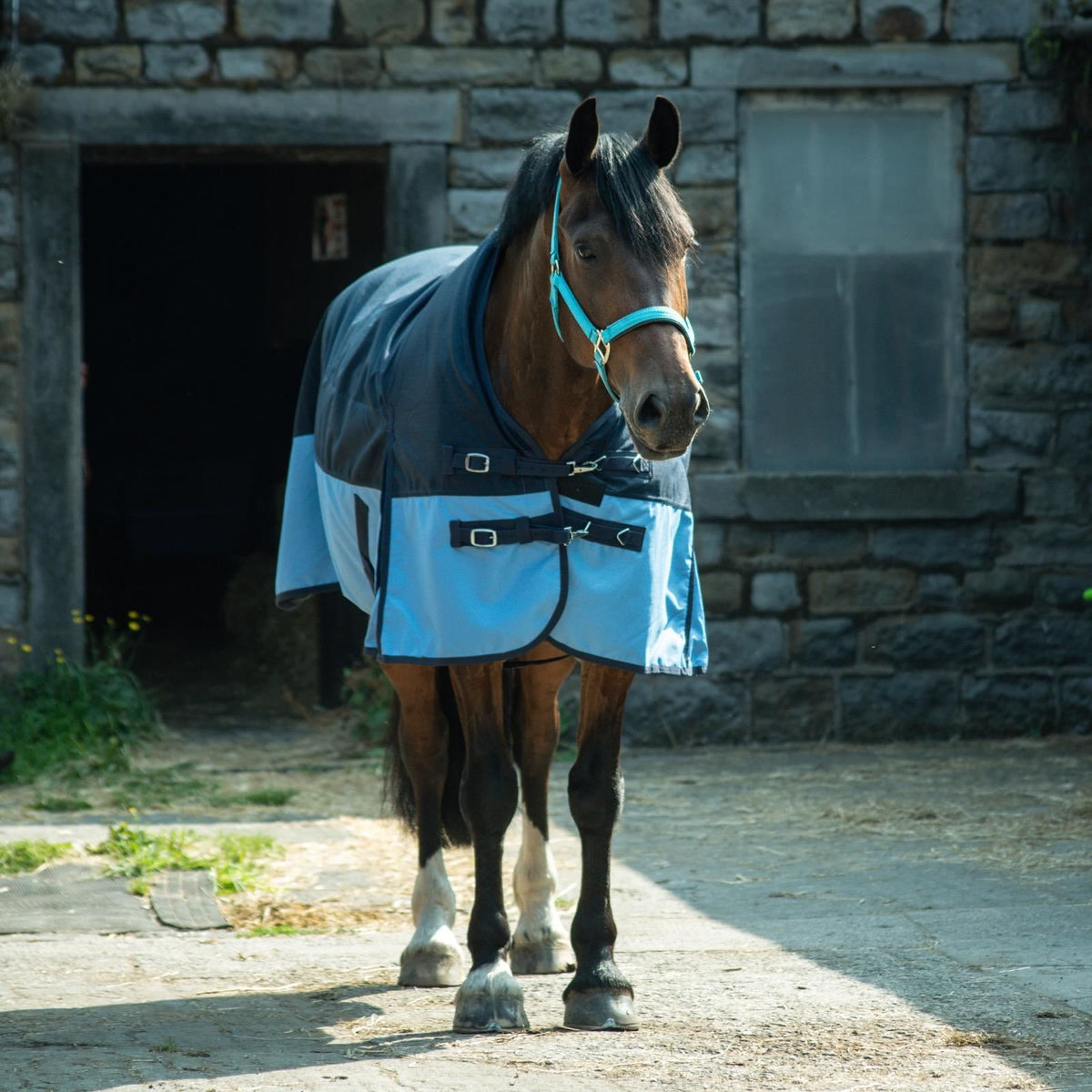 600D Lightweight Waterproof Horse Turnout Rug 0g No Fill Half Neck Navy/Baby Blue