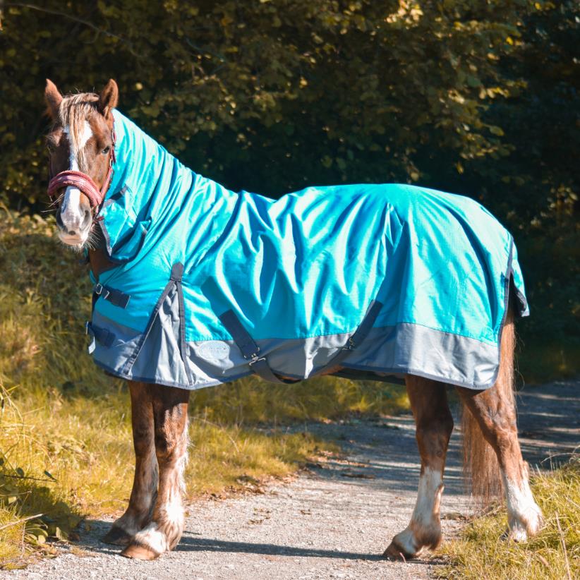 600D Lightweight Turnout Horse Rug Water Resistant Combo Neck Aqua/Grey 5'3-6'9