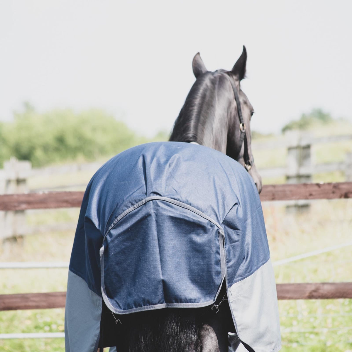 1200D Mediumweight Waterproof Horse Turnout Rug 100g Fill Standard Neck Navy/Grey