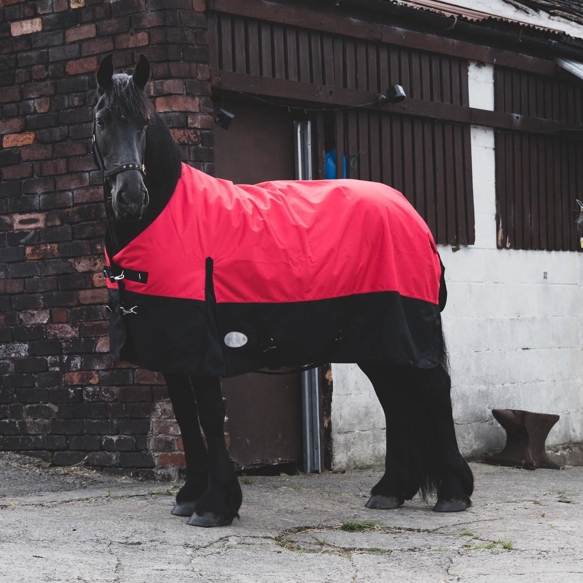 1200D Mediumweight Waterproof Horse Turnout Rug 100g Fill Standard Neck Red/Black