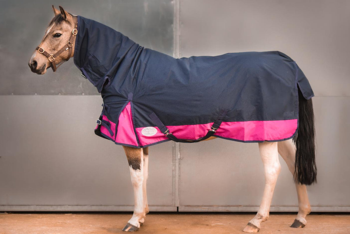600D Mediumweight Waterproof Horse Turnout Rug 50g Fill Combo Full Neck Navy/Raspberry
