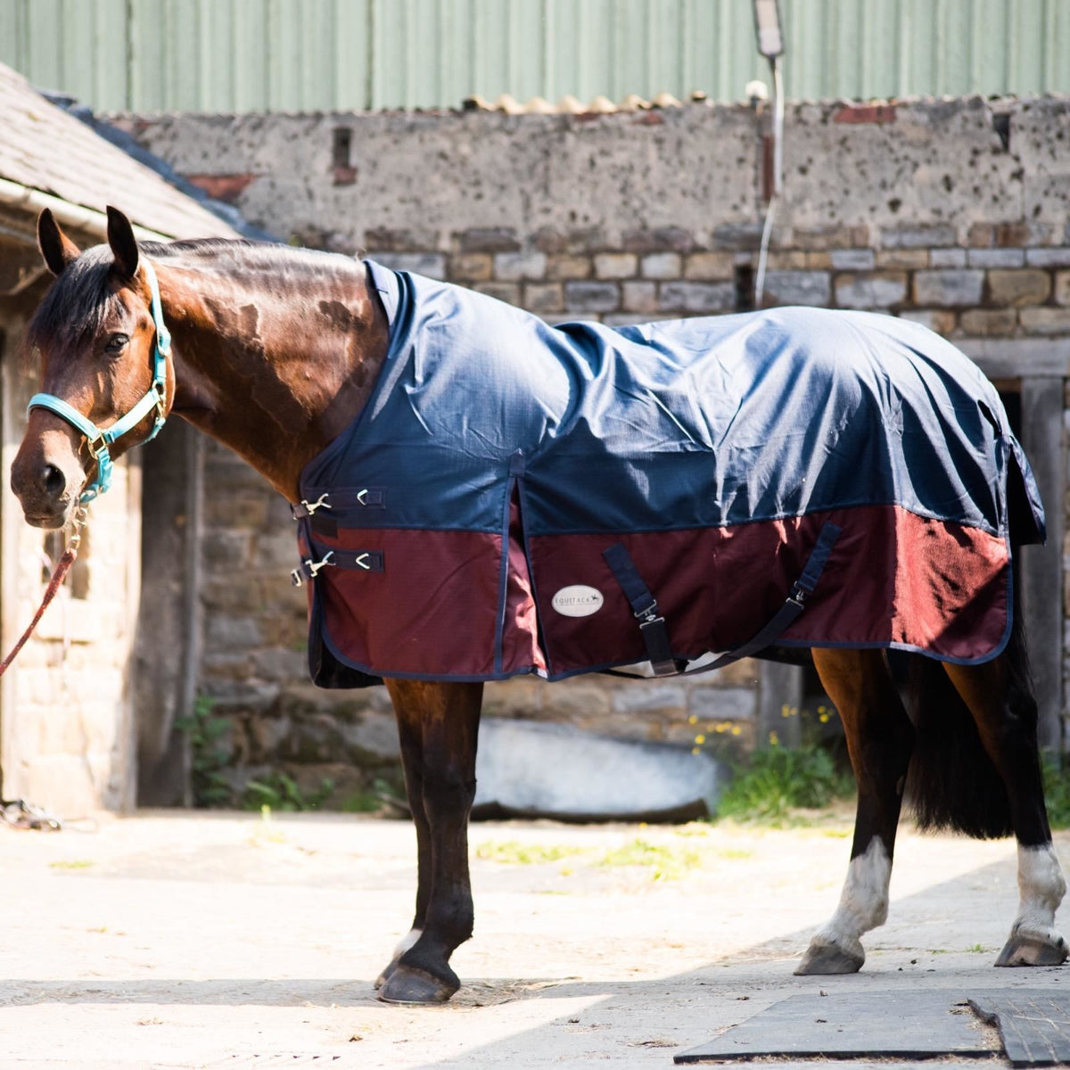 1200D Lightweight Waterproof Horse Turnout Rug 0g No Fill Half Neck Navy/Burgundy