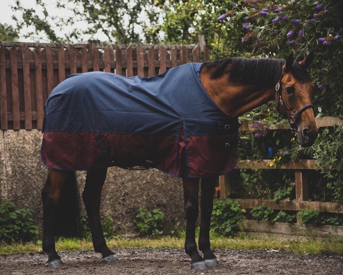 600D Mediumweight Waterproof Horse Turnout Rug 50g Fill Half Neck Royal Blue