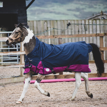 1200D Mediumweight Waterproof Horse Turnout Rug 200g Fill Half Neck Navy/Raspberry