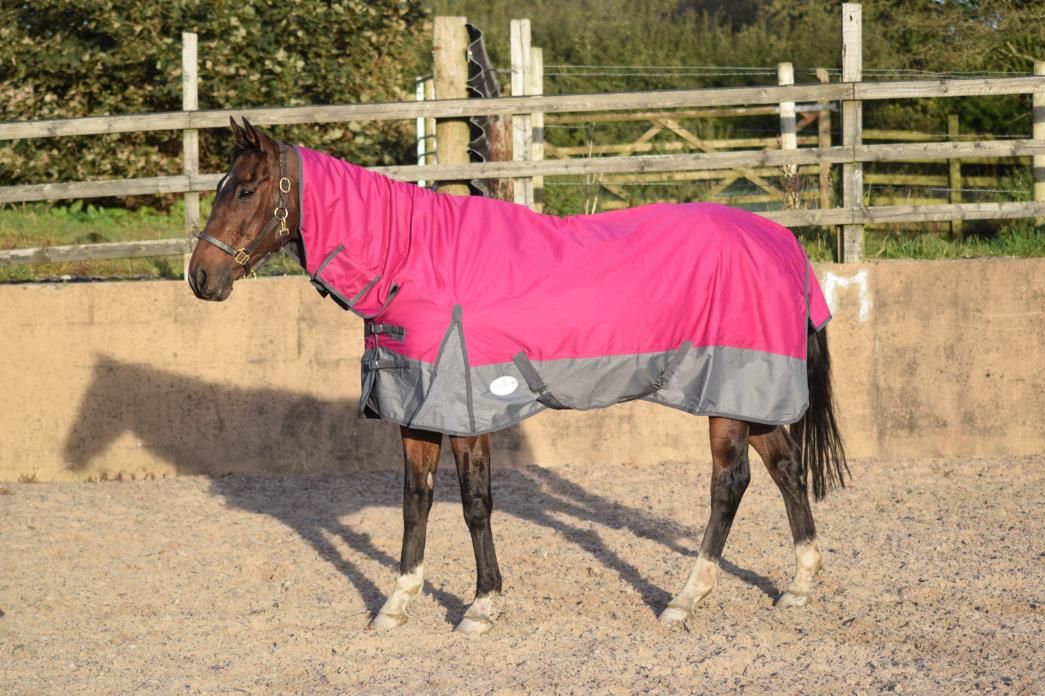 600D Mediumweight Waterproof Horse Turnout Rug 50g Fill Combo Full Neck Raspberry/Dark Grey