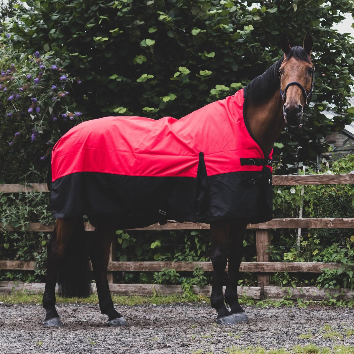 1200D Mediumweight Waterproof Horse Turnout Rug 100g Fill Half Neck Red/Black
