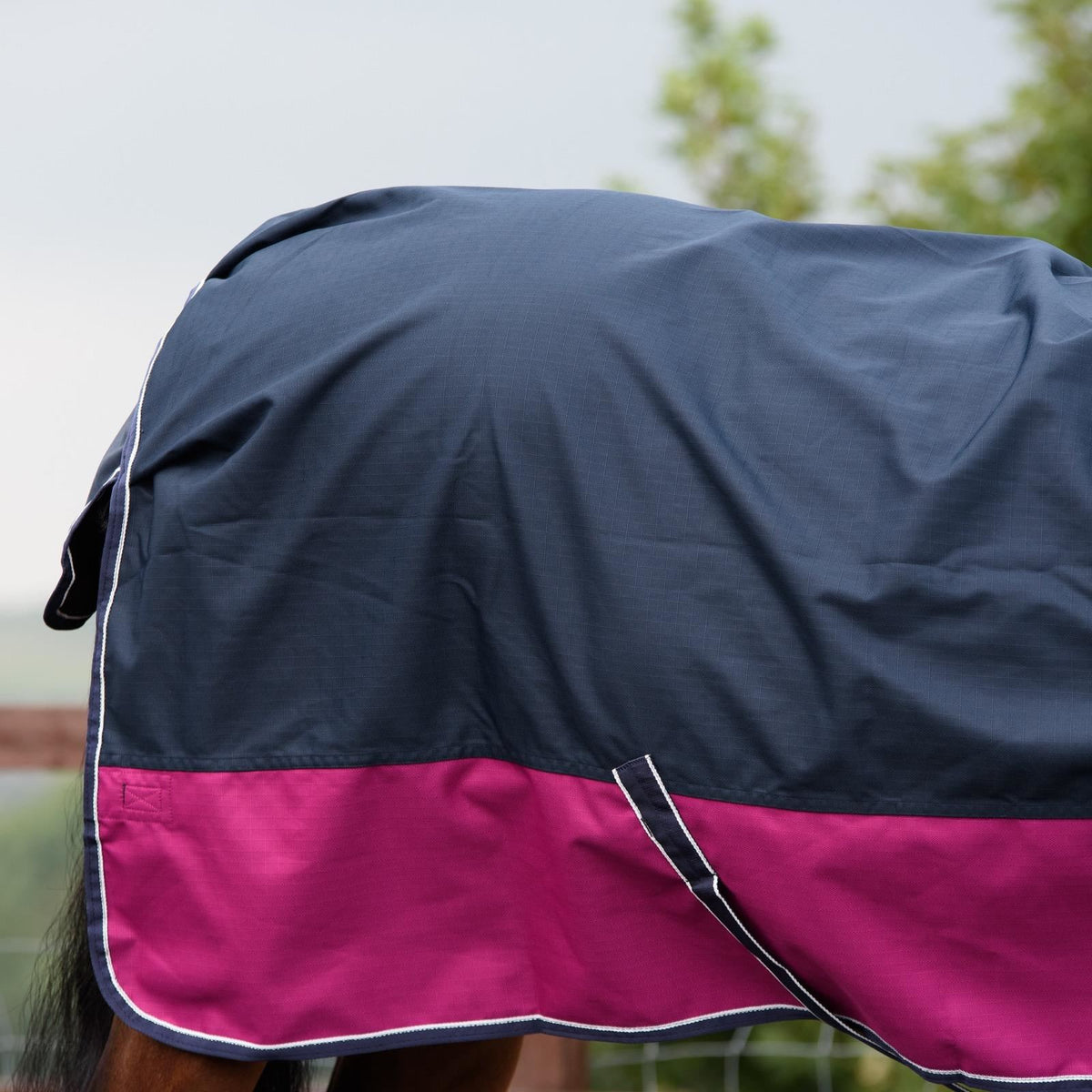 1200D Mediumweight Waterproof Horse Turnout Rug 100g Fill Half Neck Navy/Raspberry