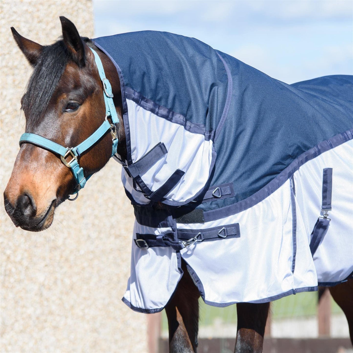 600D 2 in 1 Lightweight Waterproof Fly Turnout Mesh Horse Rug Fixed Neck Blue/White