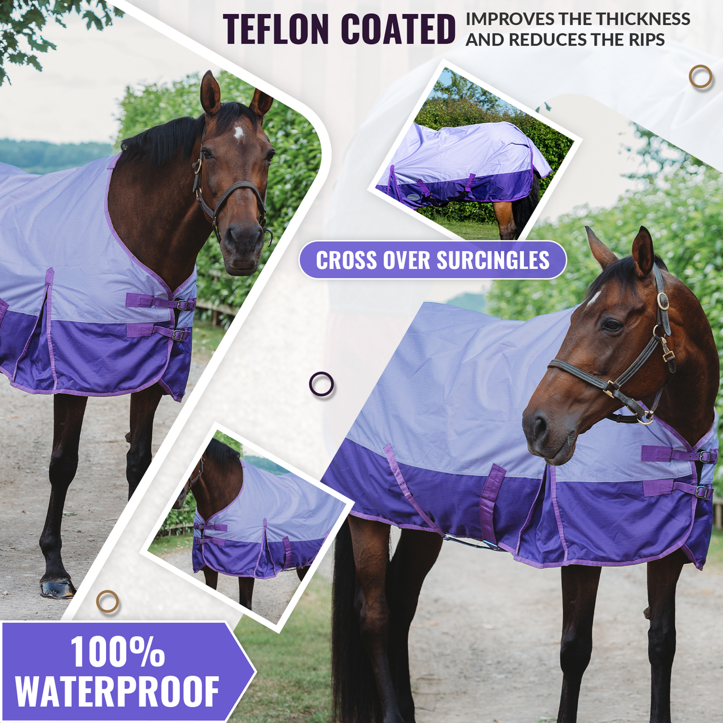 600D Lightweight Waterproof Horse Turnout Rug 0g No Fill Regular Neck Lavender/Purple
