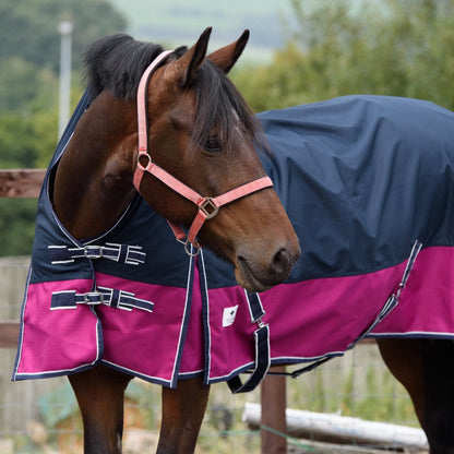 1200D Mediumweight Waterproof Horse Turnout Rug 100g Fill Half Neck Navy/Raspberry