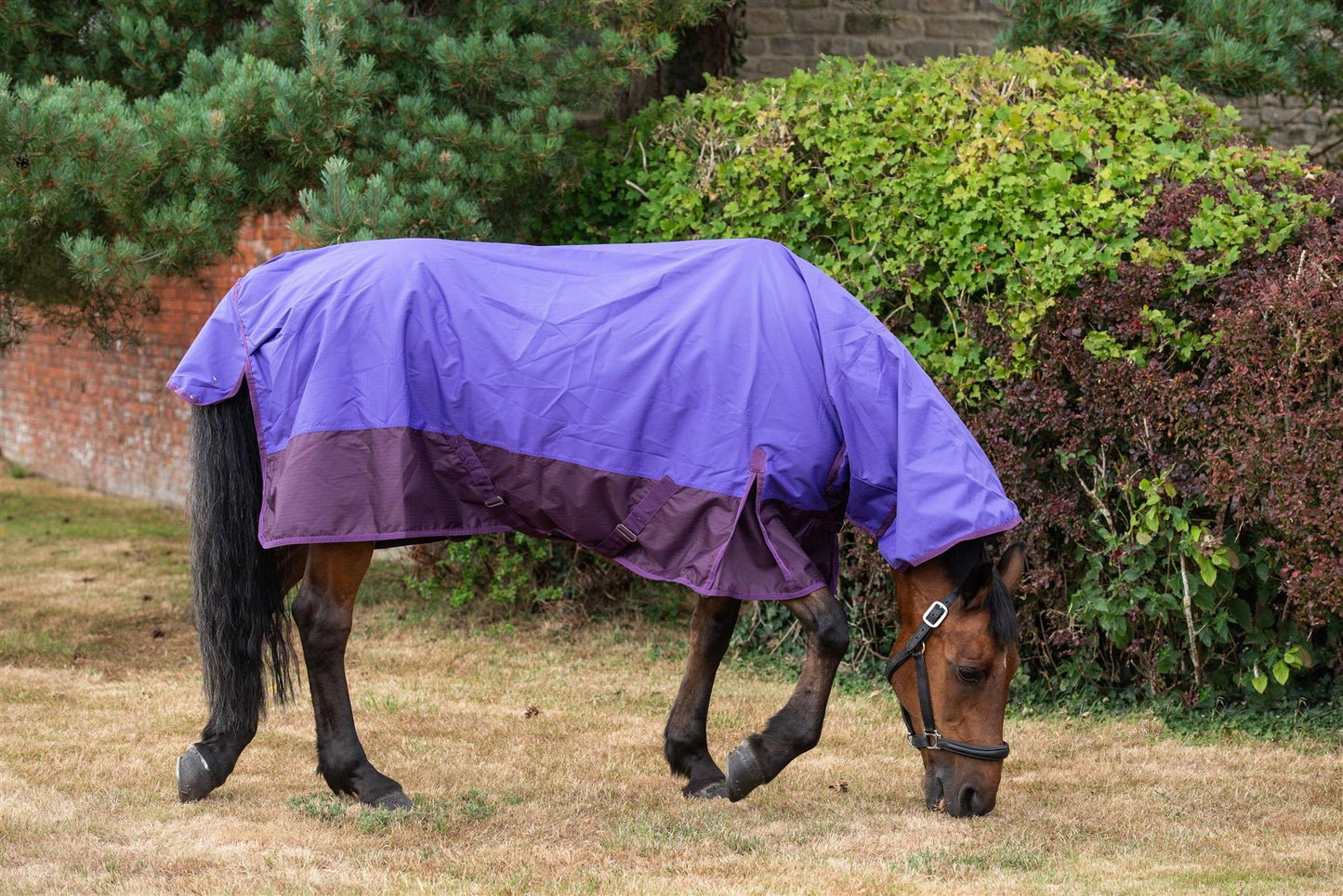 600D Mediumweight Waterproof Horse Turnout Rug 100g Fill Combo Full Neck Purple/Plum