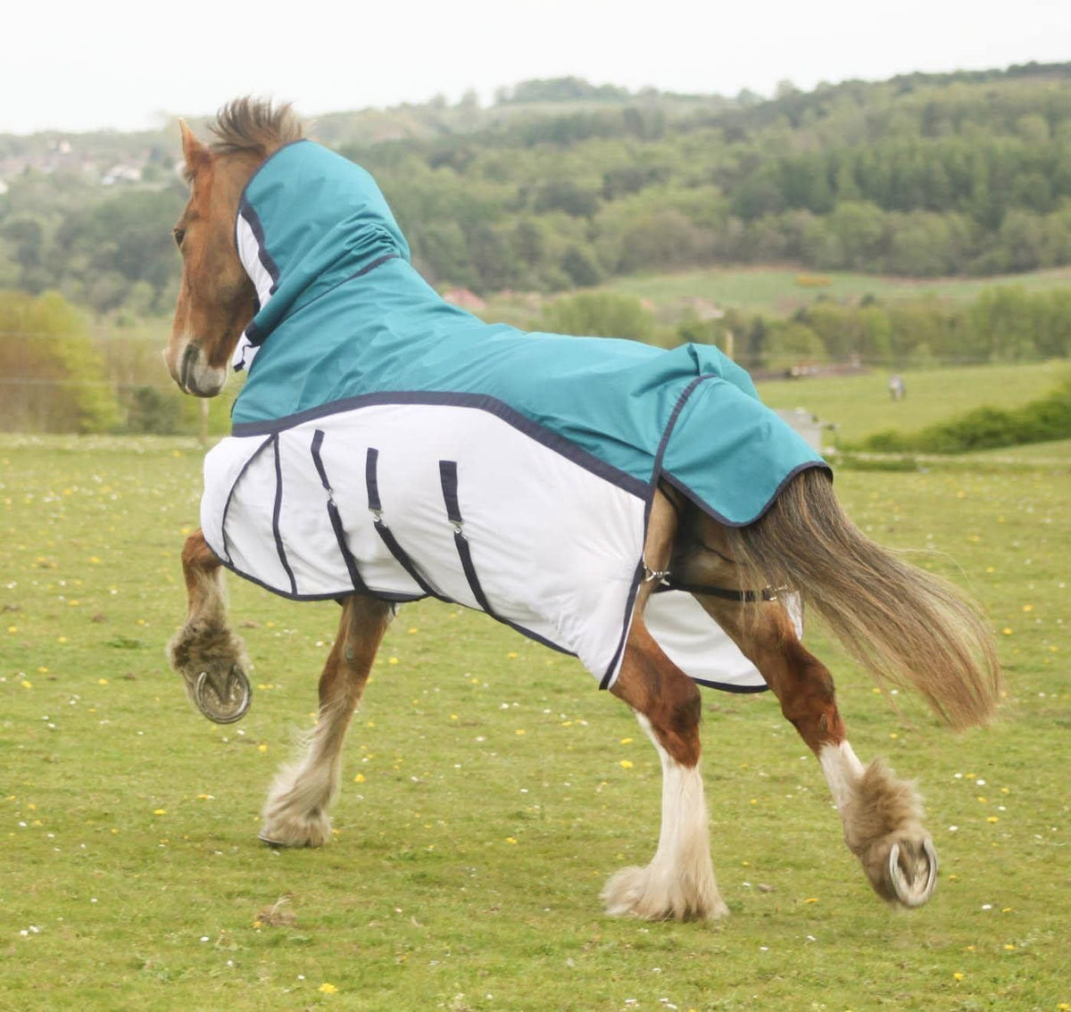 600D 2 in 1 Lightweight Waterproof Fly Turnout Mesh Horse Rug Fixed Neck Petrol/White