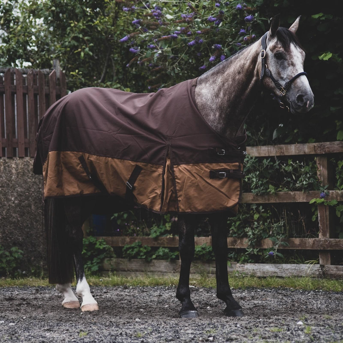 1200D Lightweight Waterproof Horse Turnout Rug 0g No Fill Standard Neck Dark Brown/Light Brown