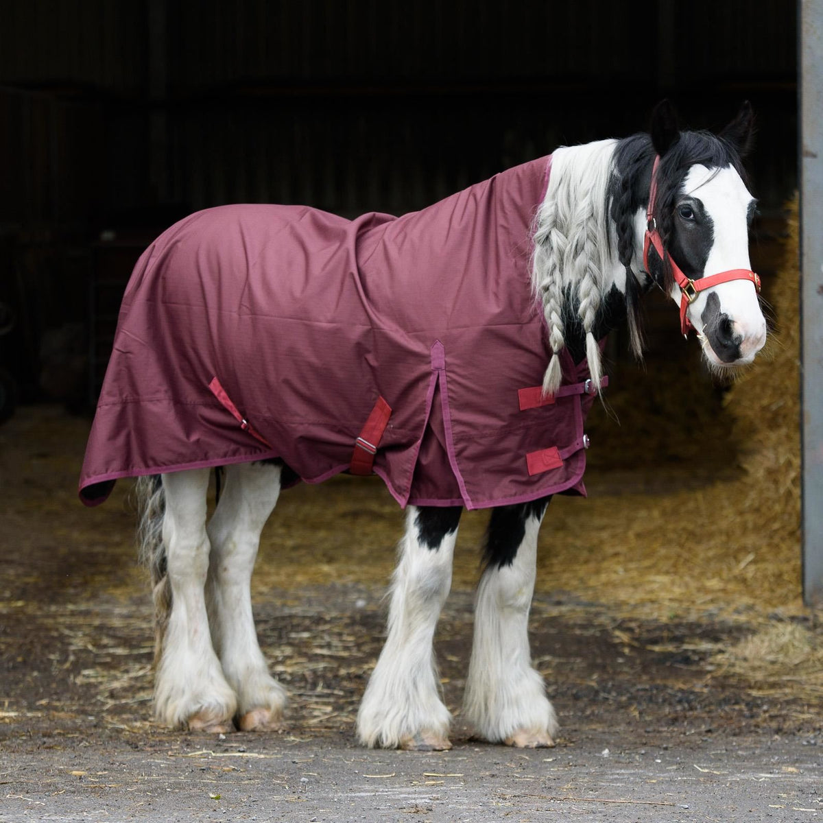 600D Lightweight Waterproof Horse Turnout Rug 0g No Fill Half Neck Dark Burgundy