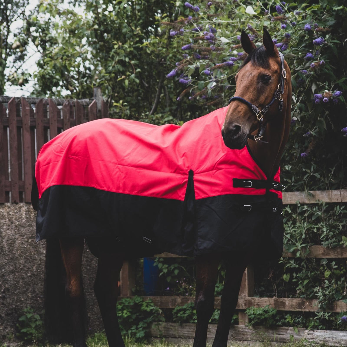 1200D Lightweight Waterproof Horse Turnout Rug 0g No Fill Standard Neck Red/Black