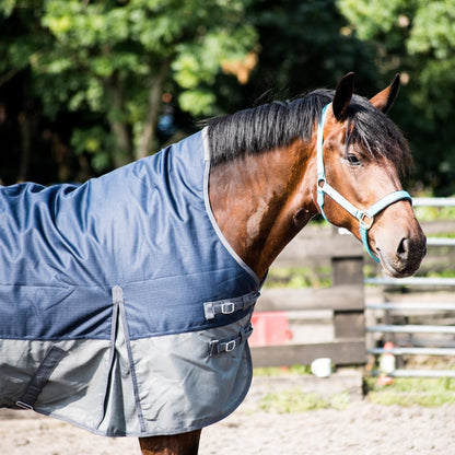 1200D Mediumweight Waterproof Horse Turnout Rug 100g Fill Half Neck Navy/Grey