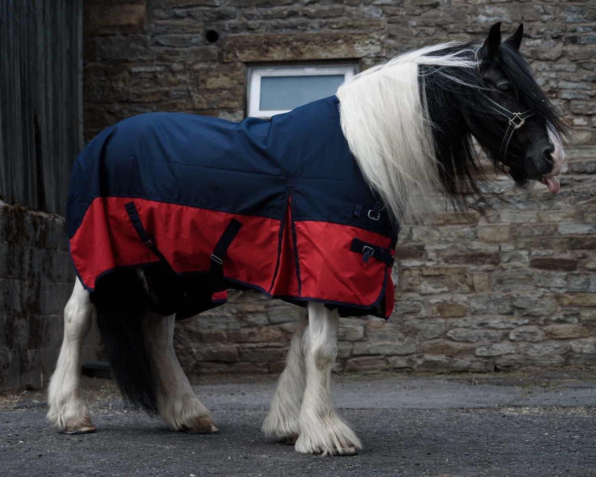 1200D Mediumweight Waterproof Horse Turnout Rug 50g Fill Standard Neck Navy/Red
