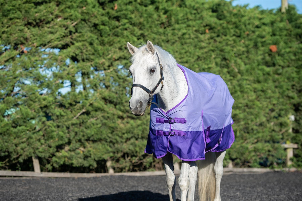 600D Mediumweight Waterproof Horse Turnout Rug 50g Fill Regular Neck Lavender/Purple