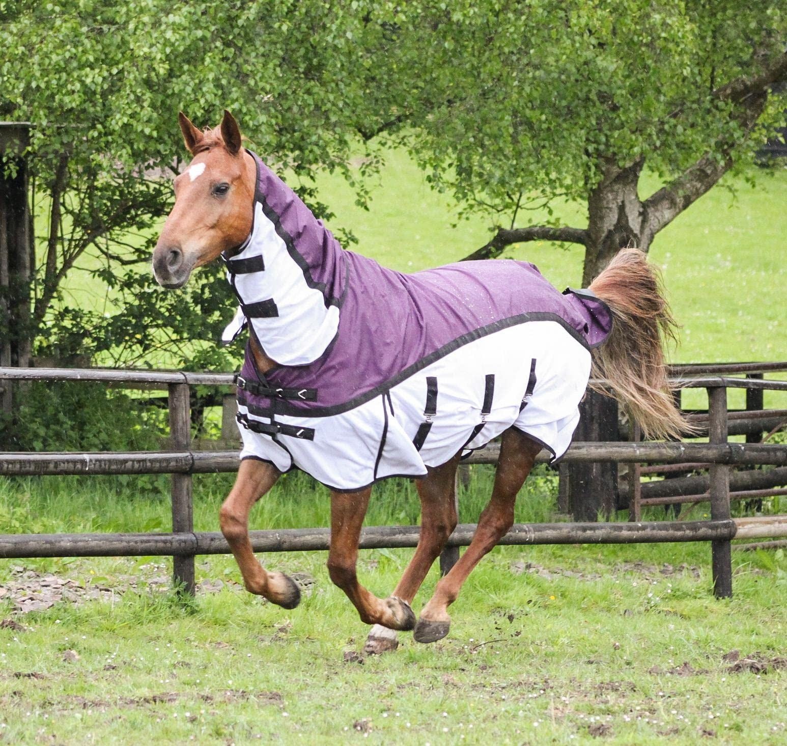 600D 2 in 1 Lightweight Waterproof Fly Turnout Mesh Horse Rug Fixed Neck Burgundy/White