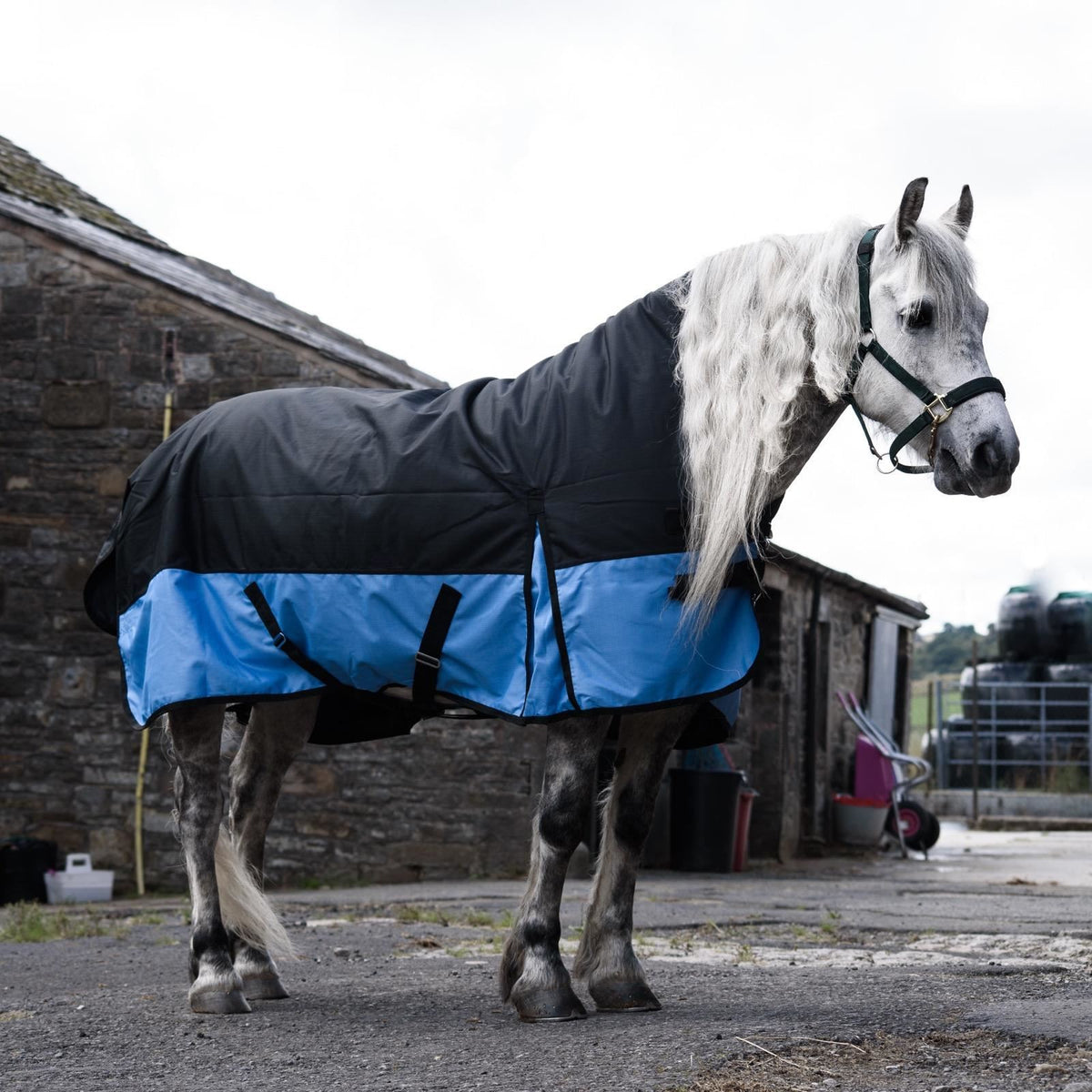 1200D Mediumweight Waterproof Horse Turnout Rug 100g Fill Half Neck Black/Baby Blue