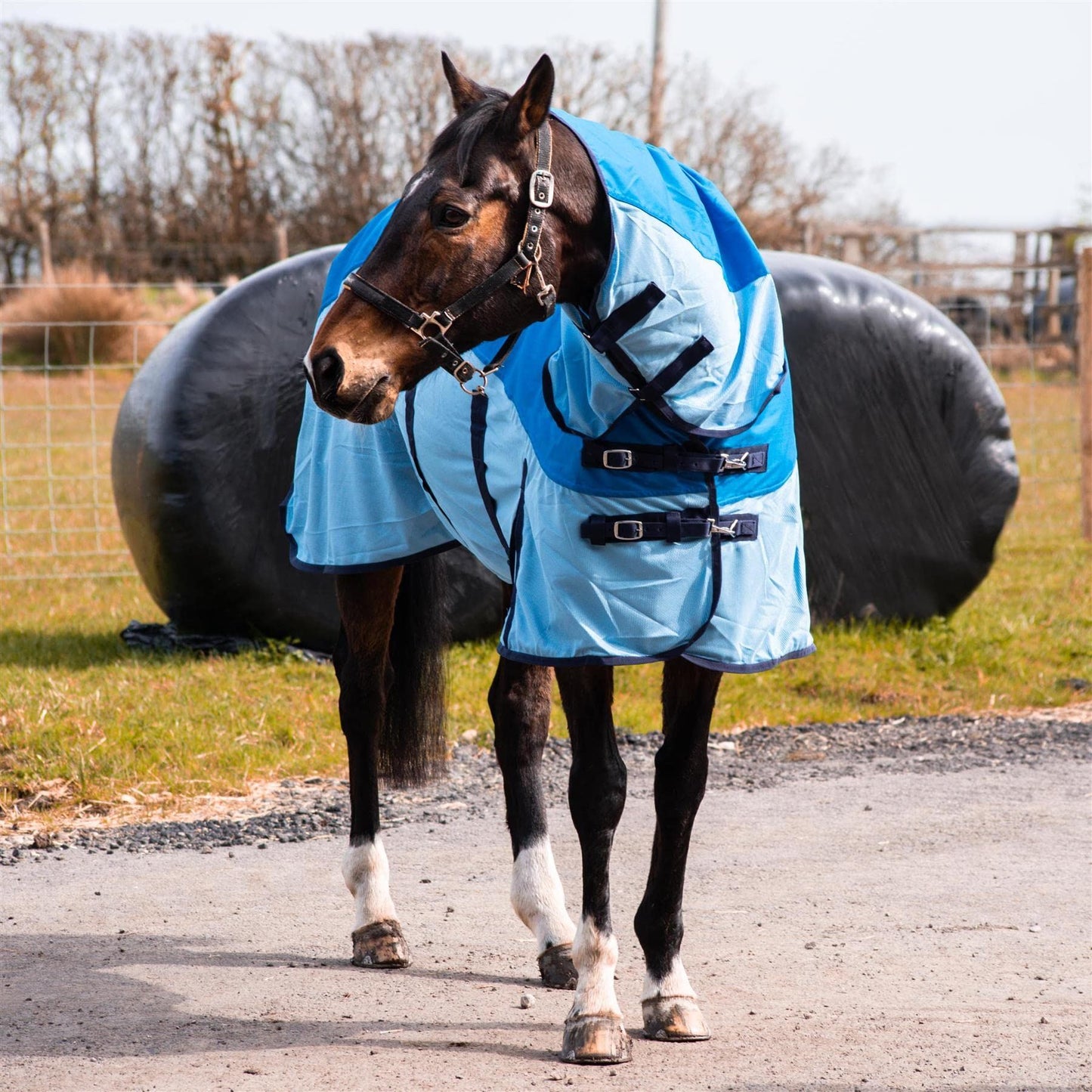 600D 2 in 1 Lightweight Waterproof Fly Turnout Mesh Horse Rug Fixed Neck Blue/Light Blue