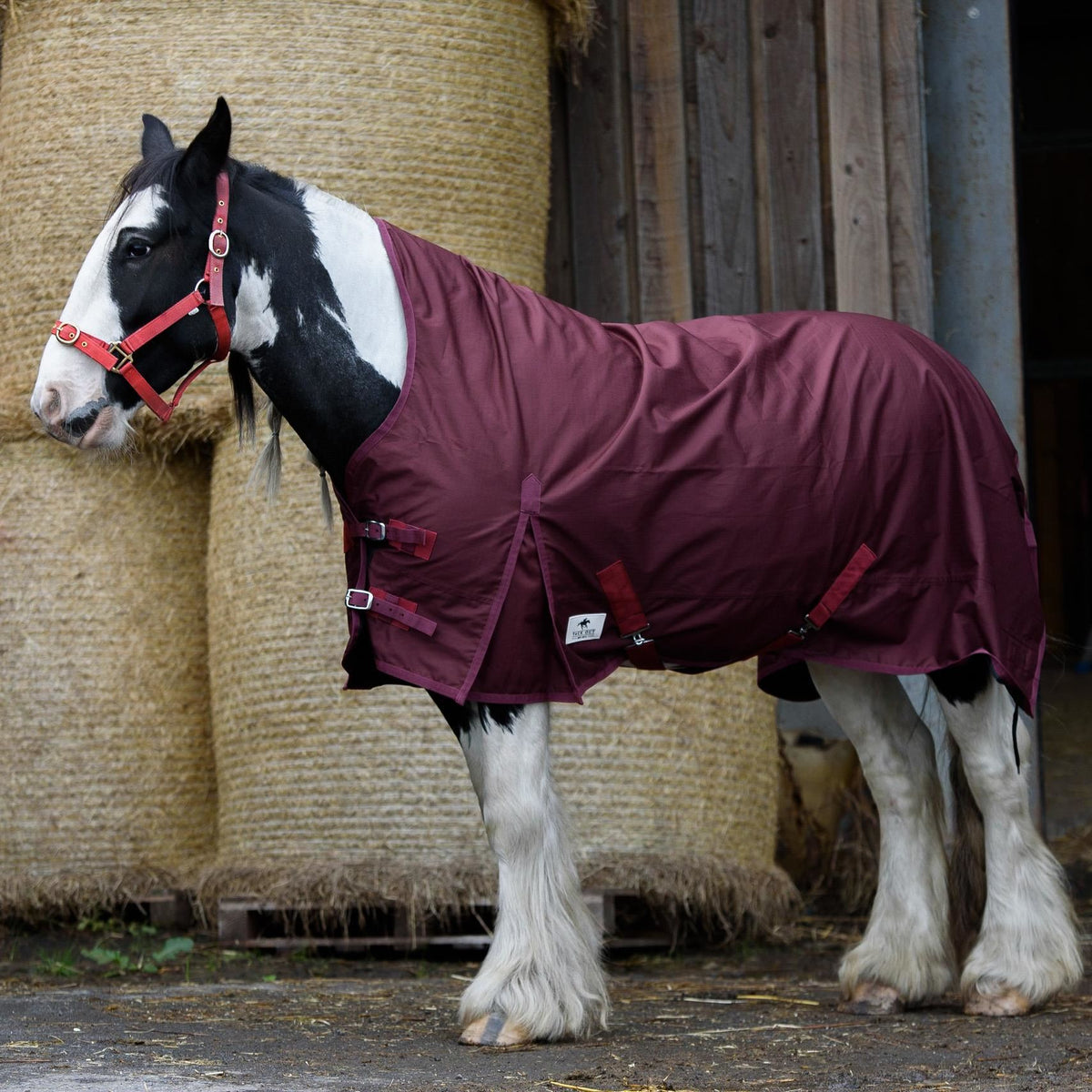 600D Lightweight Waterproof Horse Turnout Rug 0g No Fill Half Neck Dark Burgundy