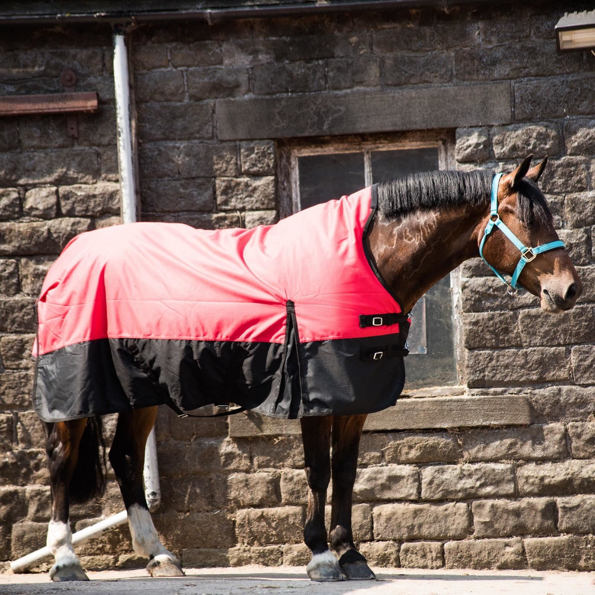 1200D Heavyweight Waterproof Horse Turnout Rug 300g Fill Half Neck Blue/Black