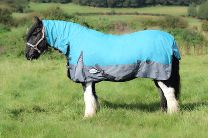 600D Mediumweight Waterproof Horse Turnout Rug 100g Fill Combo Full Neck Aqua/Dark Grey