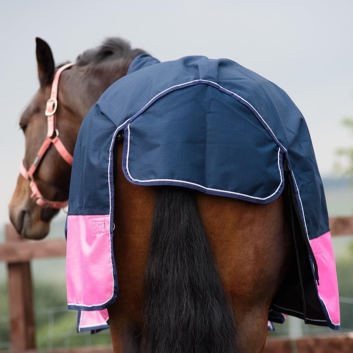 1200D Mediumweight Waterproof Horse Turnout Rug 100g Fill Half Neck Navy/Pink
