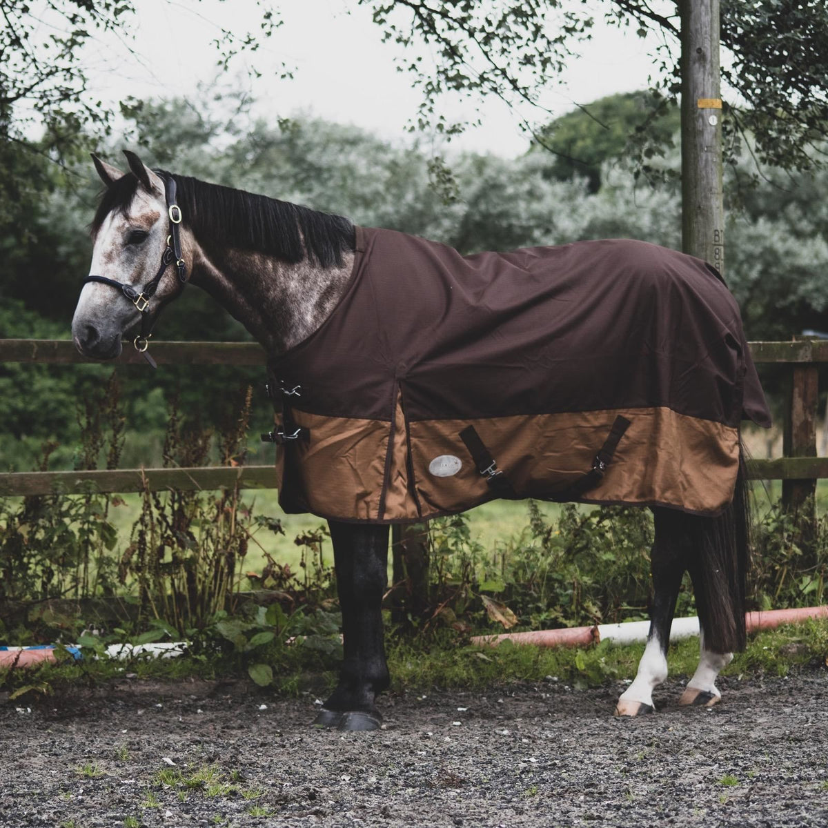 1200D Lightweight Waterproof Horse Turnout Rug 0g No Fill Standard Neck Grey/Brown