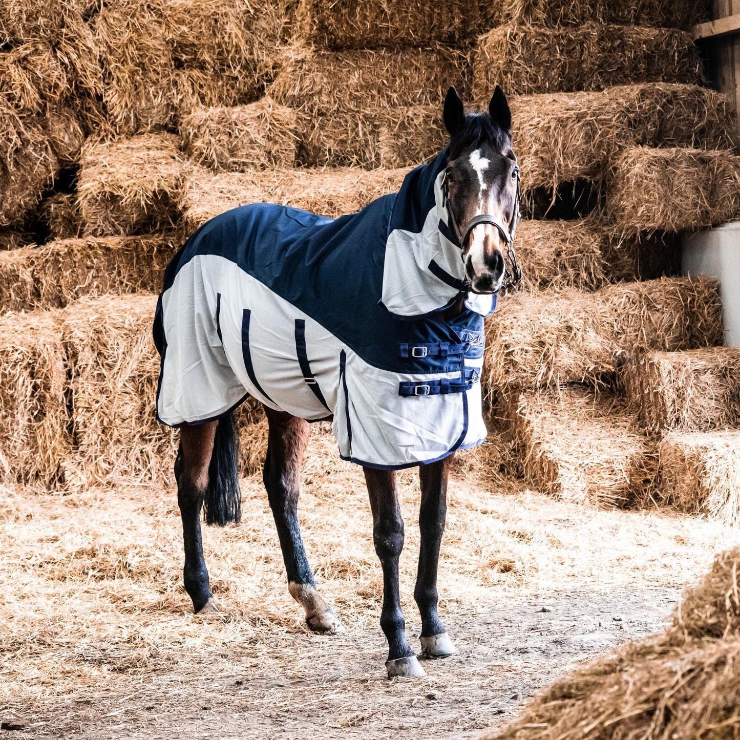 600D 2 in 1 Lightweight Waterproof Fly Turnout Mesh Horse Rug Fixed Neck Navy/Silver