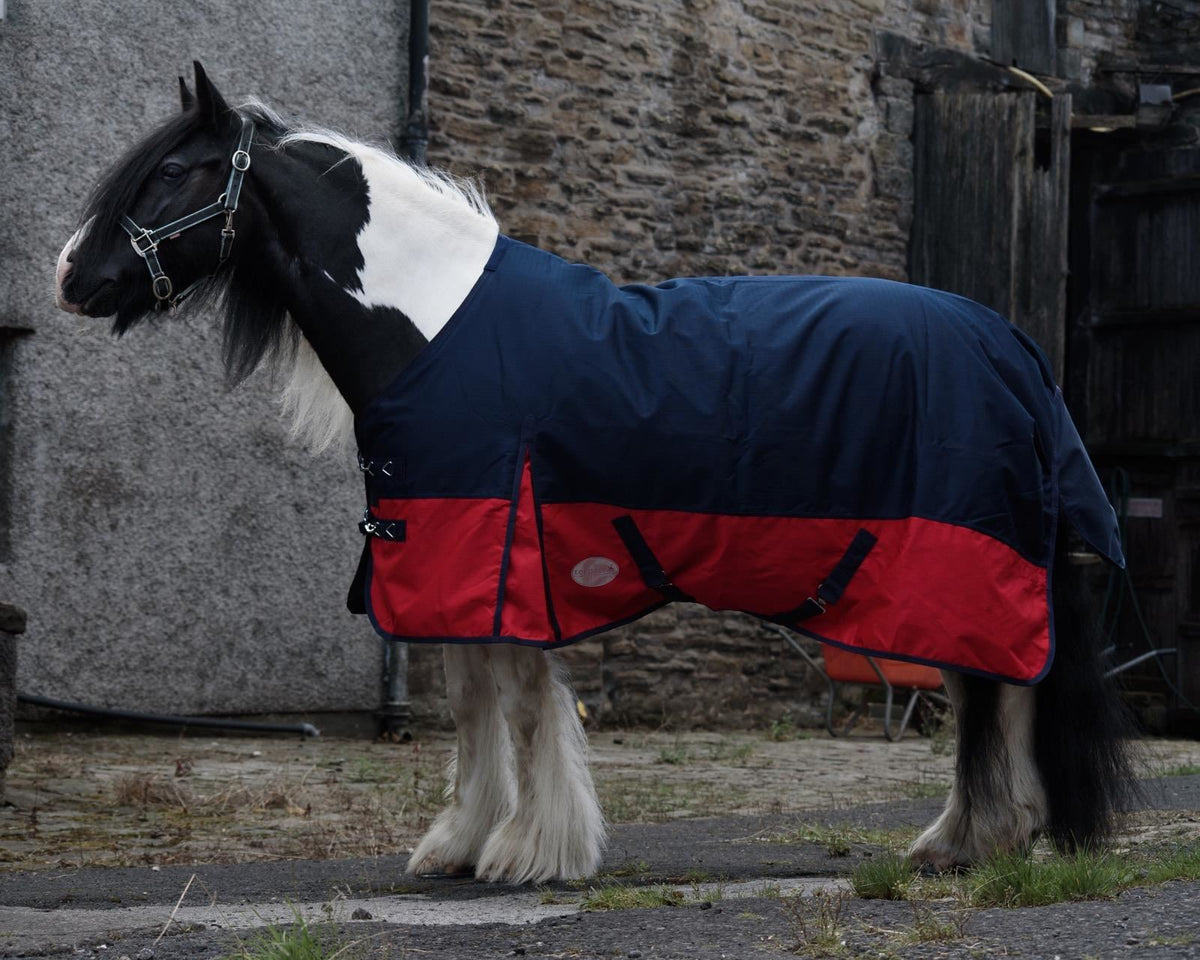 1200D Mediumweight Waterproof Horse Turnout Rug 50g Fill Standard Neck Navy/Red