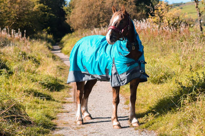 1200D Lightweight Waterproof Horse Turnout Rug 0g No Fill Combo Full Neck Aqua/Dark Grey