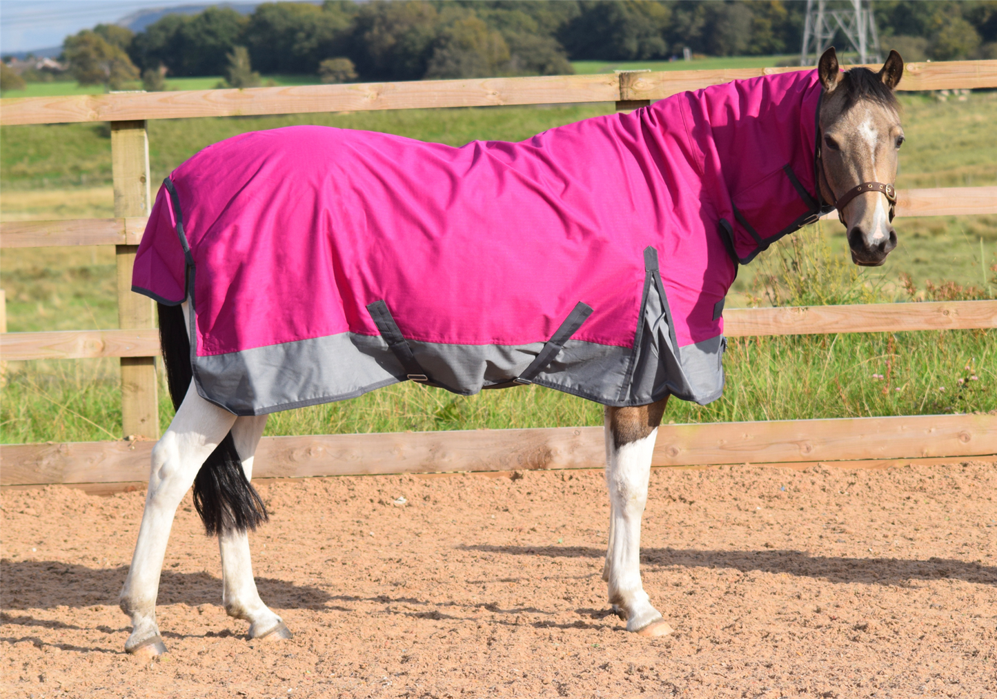 600D Mediumweight Waterproof Horse Turnout Rug 100g Fill Combo Full Neck Raspberry/Grey