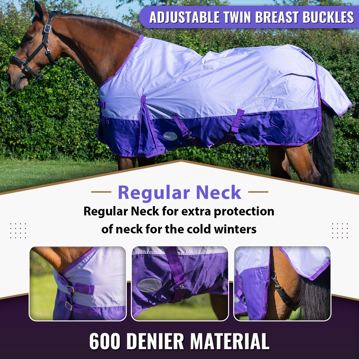 600D Lightweight Waterproof Horse Turnout Rug 0g No Fill Regular Neck Lavender/Purple