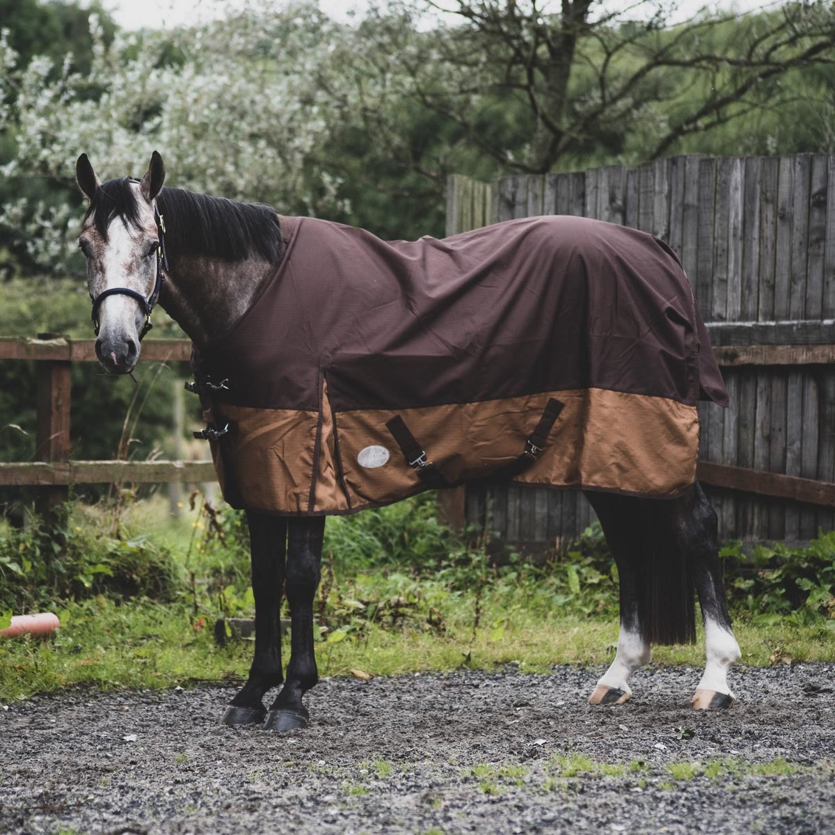 1200D Lightweight Waterproof Horse Turnout Rug 0g No Fill Standard Neck Dark Brown/Light Brown
