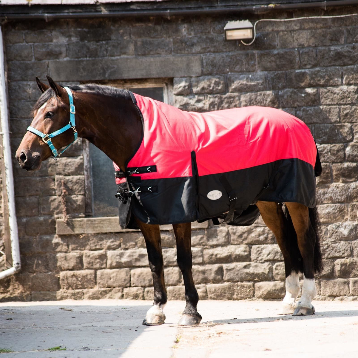 1200D Heavyweight Waterproof Horse Turnout Rug 300g Fill Half Neck Blue/Black