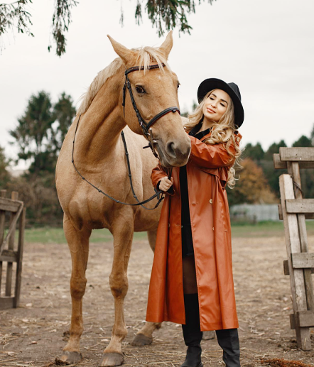 Premium Horse Sweat Blankets Customer Favorites