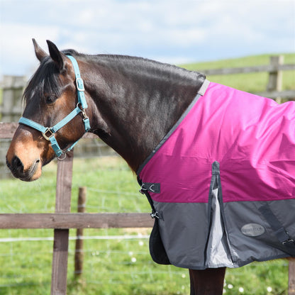 600D Mediumweight Waterproof Horse Turnout Rug 100g Fill Standard Neck Raspberry/Grey