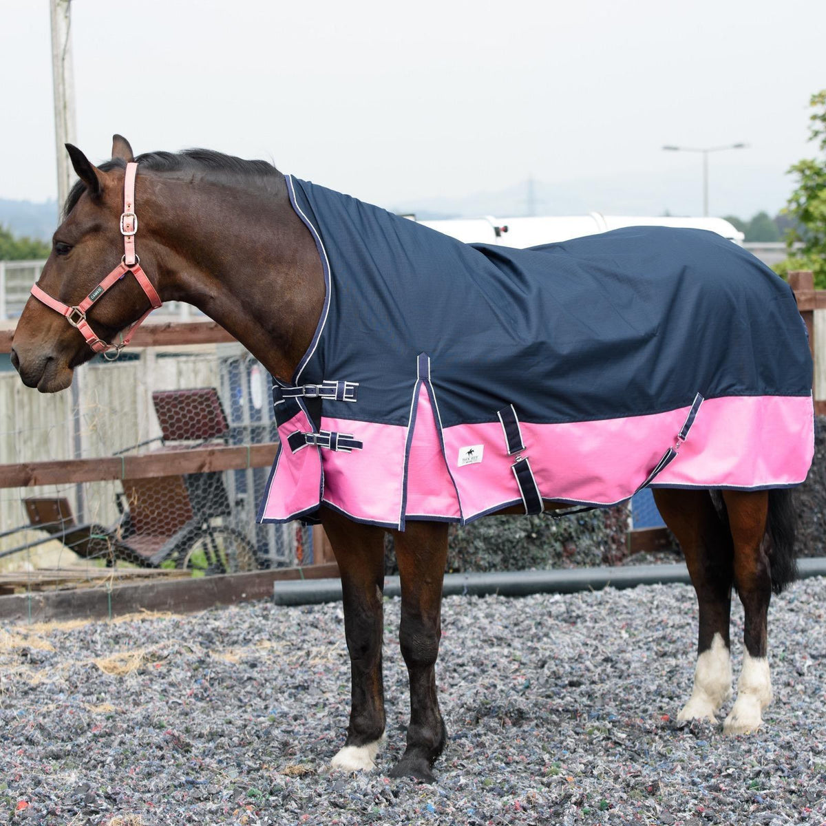 1200D Mediumweight Waterproof Horse Turnout Rug 100g Fill Half Neck Navy/Pink
