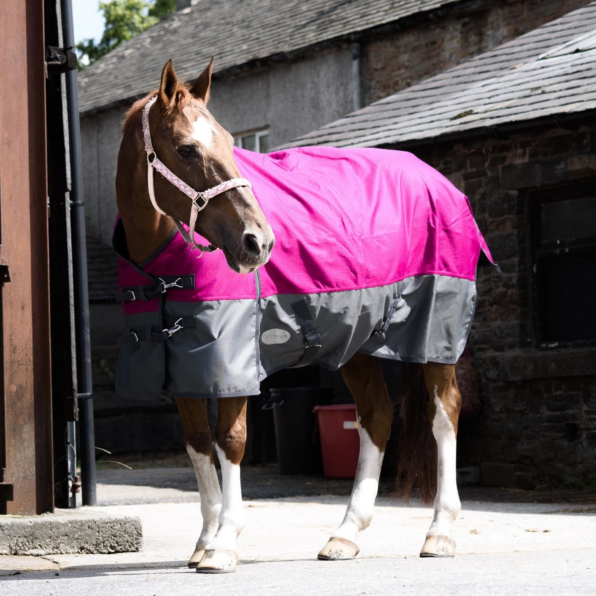 1200D Mediumweight Waterproof Horse Turnout Rug 50g Fill Standard Neck Raspberry/Grey