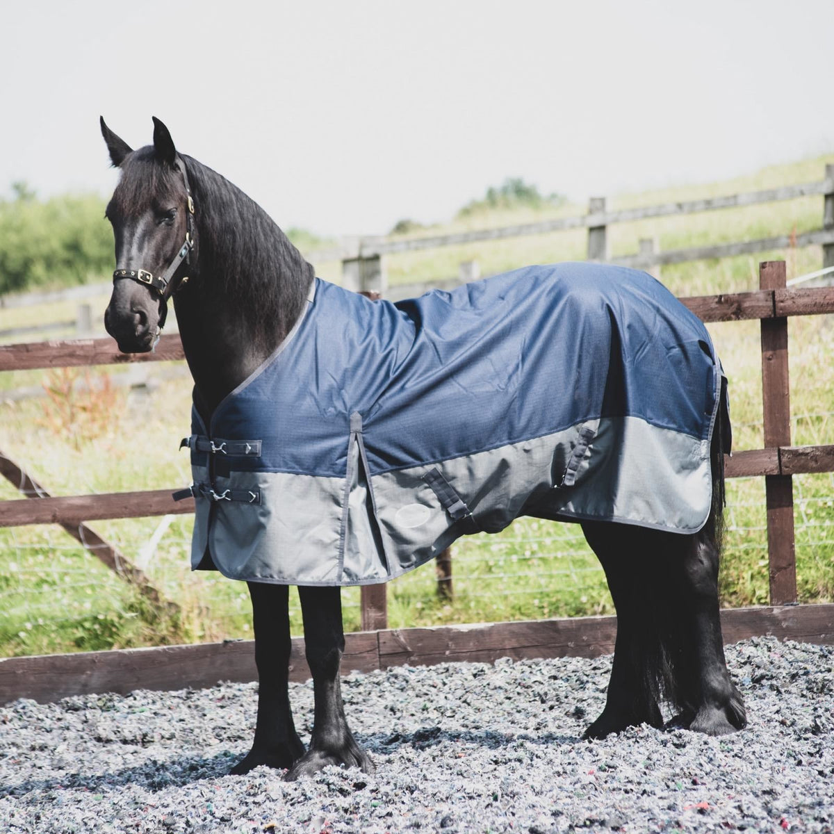 1200D Mediumweight Waterproof Horse Turnout Rug 100g Fill Standard Neck Navy/Grey