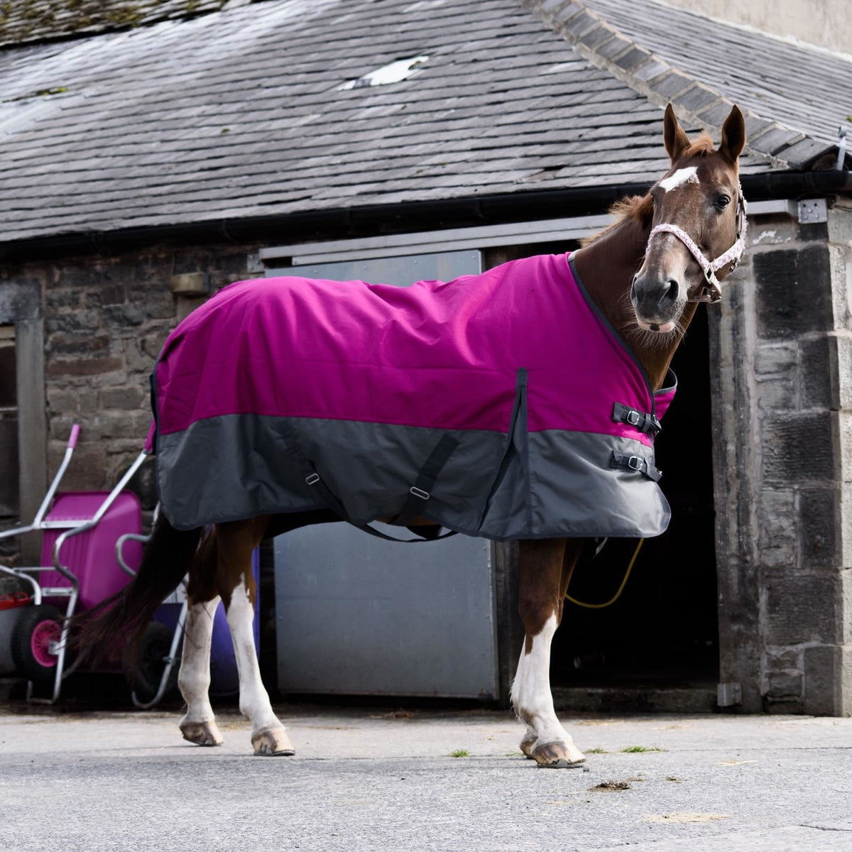 1200D Mediumweight Waterproof Horse Turnout Rug 50g Fill Standard Neck Raspberry/Grey