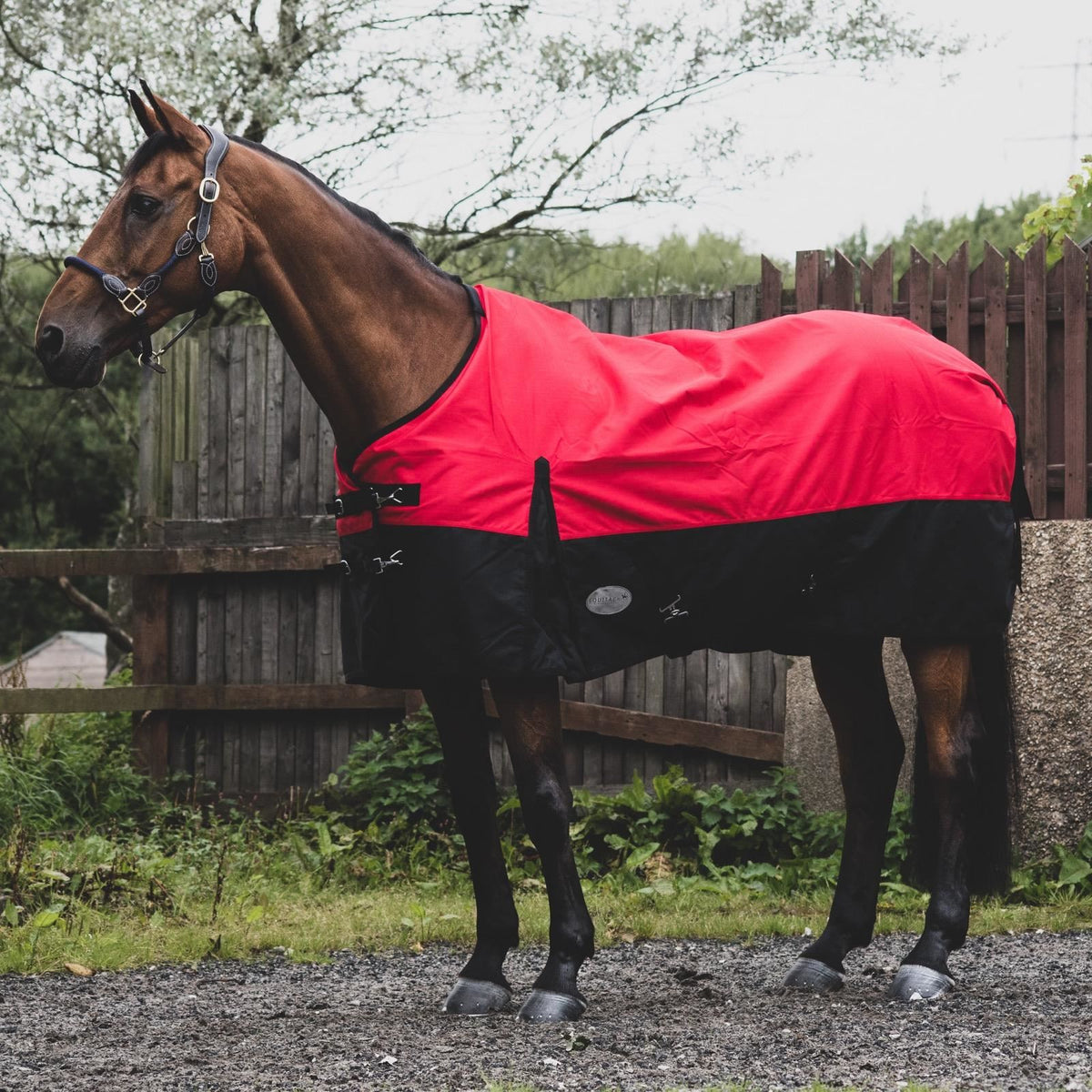 1200D Lightweight Waterproof Horse Turnout Rug 0g No Fill Standard Neck Red/Black